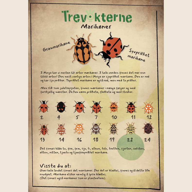 Trevokterne - Marihne-oppgaver (gratis nedlasting)