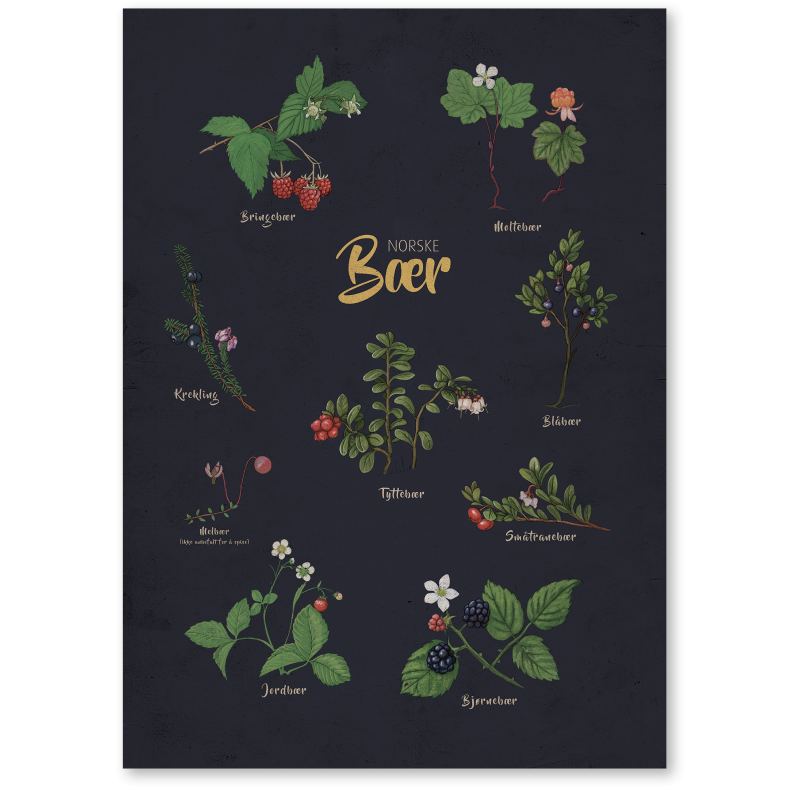 Norske br