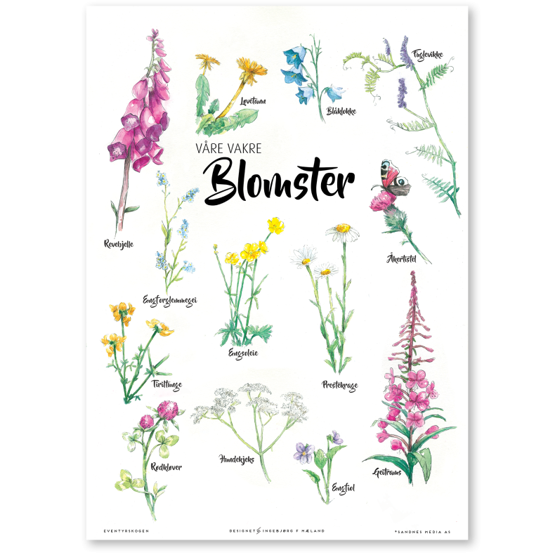 Vre vakre blomster
