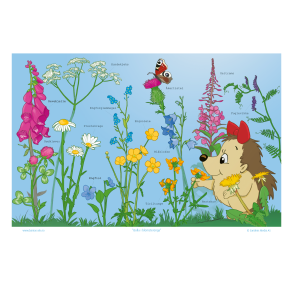 Bolla i blomsterenga