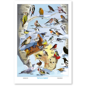 Bolla Pinnsvin ved fuglebrettet