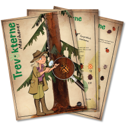 Trevokterne - Marihne-oppgaver (gratis nedlasting)